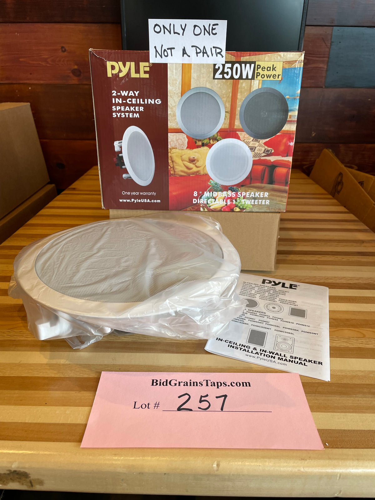 Lot 257 2-Way In-Ceiling Speaker